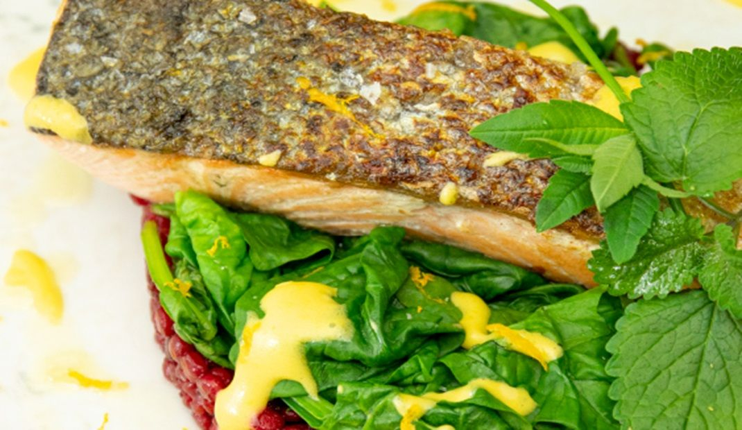 Zalm met spinazie en in bietensap gegaarde parelcouscous
